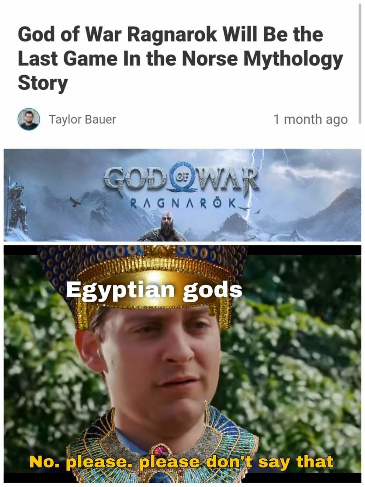 ginger blackandwhite Aristotelian